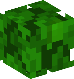 Minecraft head — Plants