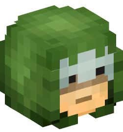 Minecraft head — People