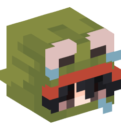 Minecraft head — People