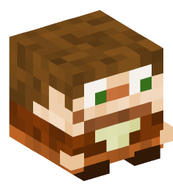 Minecraft head — Decor