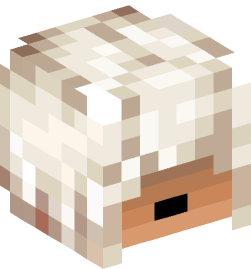 Minecraft head — People