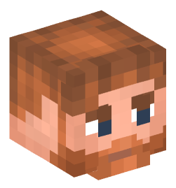 Minecraft head — People