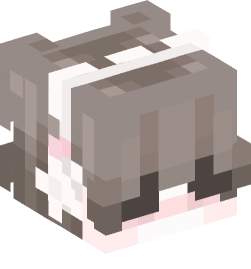 Minecraft head — People