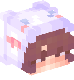 Minecraft head — People