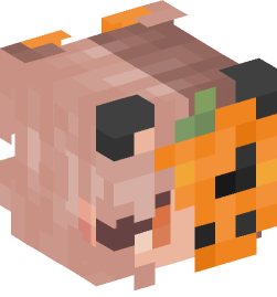 Minecraft head — People