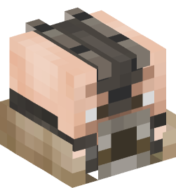 Minecraft head — People