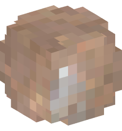 Minecraft head — Decor