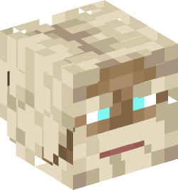 Minecraft head — People