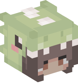 Minecraft head — People