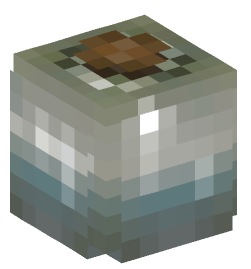 Minecraft head — Decor