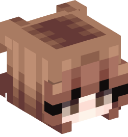 Minecraft head — People