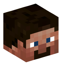 Minecraft head — People