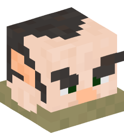 Minecraft head — People