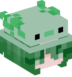 Minecraft head — People