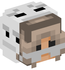 Minecraft head — People