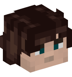 Minecraft head — People