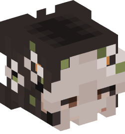 Minecraft head — People