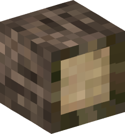 Minecraft head — Blocks