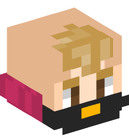 Minecraft head — People