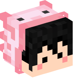 Minecraft head — People