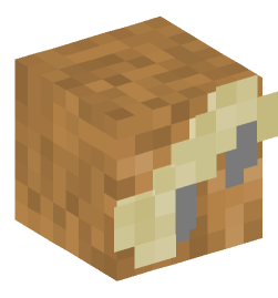 Minecraft head — Decor