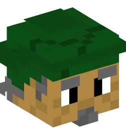 Minecraft head — People