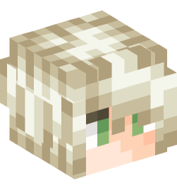 Minecraft head — People