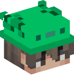 Minecraft head — People