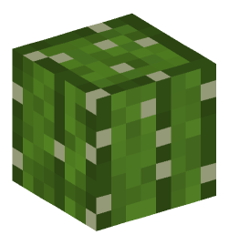 Minecraft head — Plants