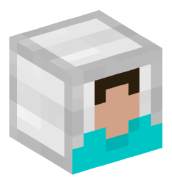 Minecraft head — Miscellaneous