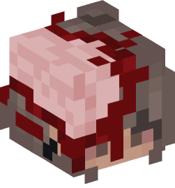 Minecraft head — People