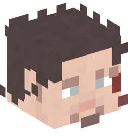 Minecraft head — People