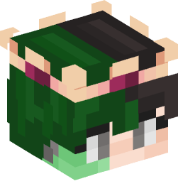 Minecraft head — People