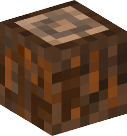 Minecraft head — Blocks