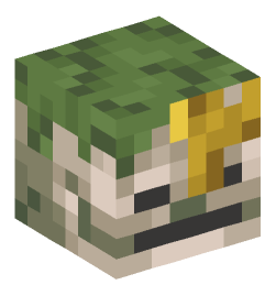 Minecraft head — Creatures