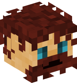 Minecraft head — People