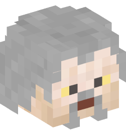 Minecraft head — People