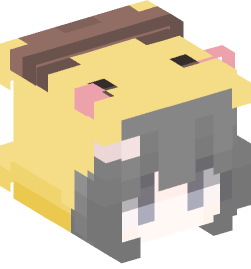 Minecraft head — People