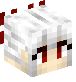 Minecraft head — People