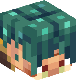 Minecraft head — Creatures