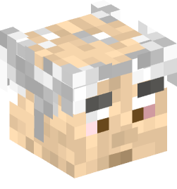 Minecraft head — People