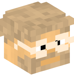 Minecraft head — People