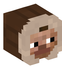 Minecraft head — People