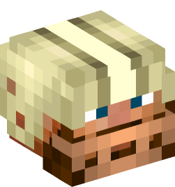 Minecraft head — People