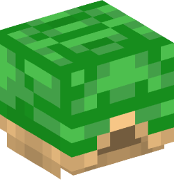 Minecraft head — Decor