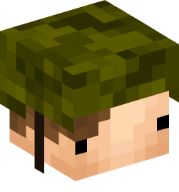 Minecraft head — People