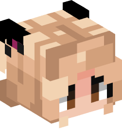 Minecraft head — People