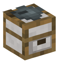 Minecraft head — Decor