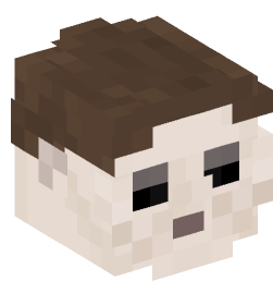 Minecraft head — People