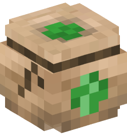 Minecraft head — Decor